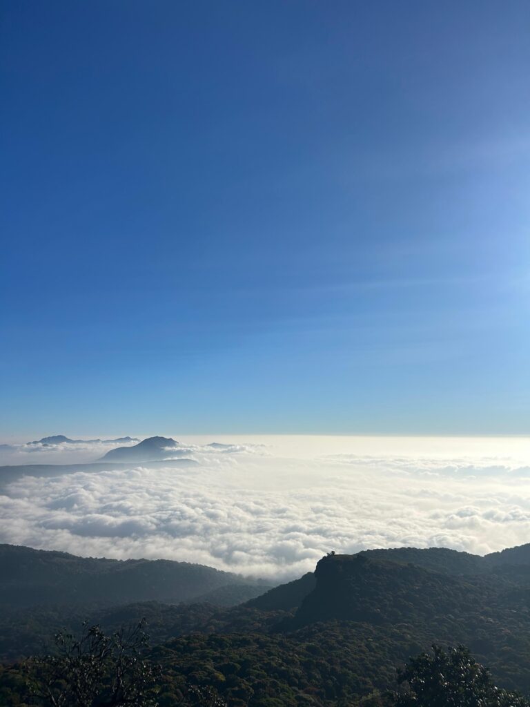 whatsapp image 2026 02 07 at 15.03.50 (1)